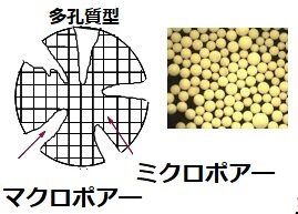 強塩基性陰イオン交換樹脂のポーラス型とゲル型樹脂の有機物吸着効果