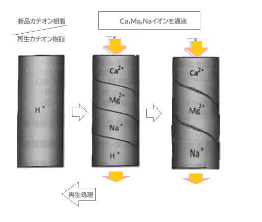 純水洗車器の仕組み：イオン交換樹脂の反応解析